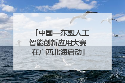 中国—东盟人工智能创新应用大赛在广西北海启动